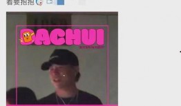 刘大锤爆料视频大全最新,揭秘娱乐圈幕后真相